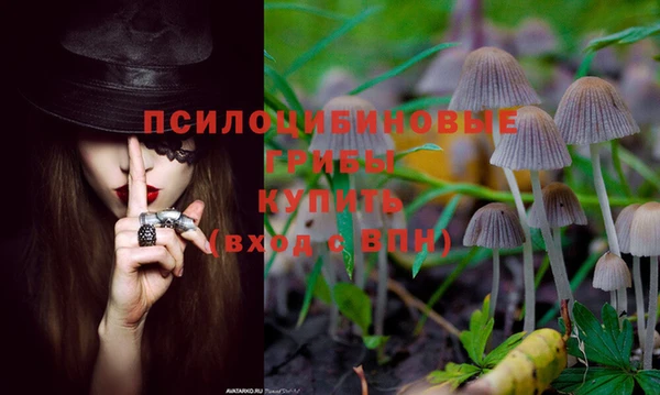 кокаин премиум Аркадак